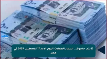 تذبذب ملحوظ.. أسعار العملات اليوم الأحد 17 أغسطس 2025 في مصر